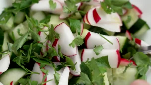 将地中海沙拉的配料与新鲜黄瓜 萝卜和香菜拌匀 — 图库视频影像