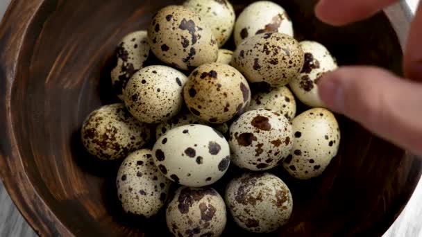 Cook Taking Fresh Speckled Quail Egg Rustic Wooden Bowl Raw — Stock Video