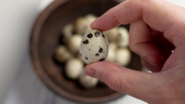 Raw Quail Egg Chef Hand Raw Farm Ingredients Close Selective — Stock Video