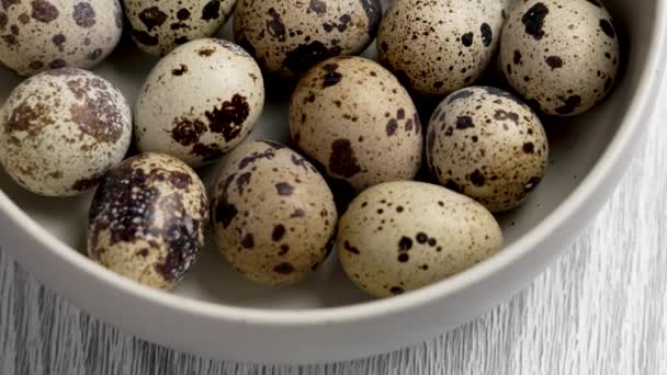 Group Raw Fresh Quail Eggs Ceramic Bowl Rustic Board Healthy — Stock Video