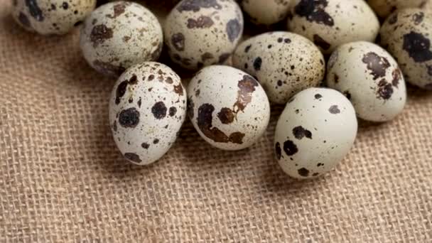 Fresh Spotted Quail Eggs Rough Sack Cloth Raw Farm Ingredient — Stock Video