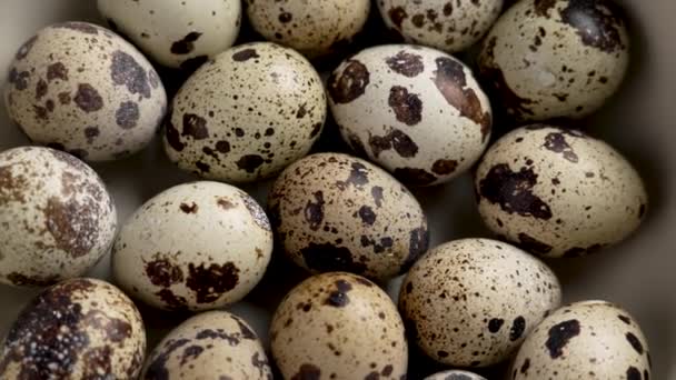 Many Uncooked Quail Eggs Kitchen Ceramic Bowl Close Raw Healthy — Stock Video
