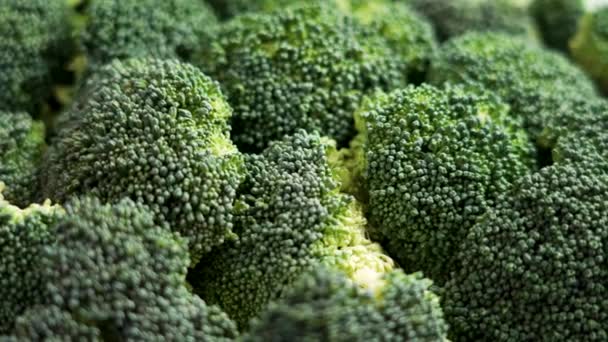 Hromada Syrové Organické Sklizené Brokolice Zblízka Koncept Hojnosti Čerstvých Rostlinných — Stock video