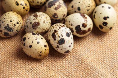 Taze benekli bıldırcın yumurtaları. Çiğ çiftlik malzemesi. Kırsal biçim.