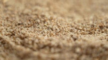 Yer sütü devedikeni tohumları. Karaciğer sağlığı için bitkisel tozda alternatif süper yiyecekler. Aptal Marianum tıbbi malzemesi. Silymarin kaynağı.