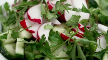 Vejetaryen sebzeli ev yapımı roka, salatalık ve turplu taze salata. Sağlıklı ham maddeler. Döndürme