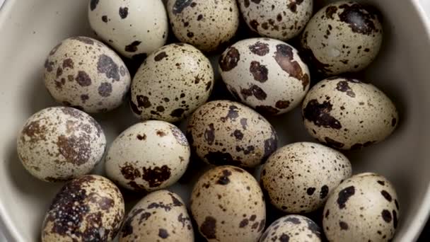 Fresh Quail Eggs Bowl Approaching Raising Product — Stock Video