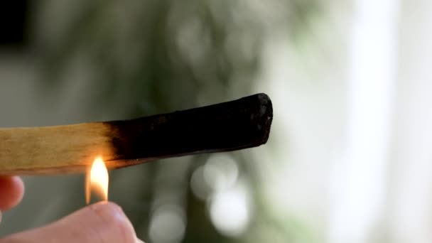 Meggyújtani Egy Illatos Füstölő Rudat Egy Közeli Szobában Aromaterápiás Fogalom — Stock videók