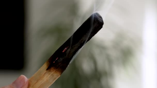Verbranden Wierook Stok Met Aromatische Rook Het Kantoor Vrouw Hand — Stockvideo