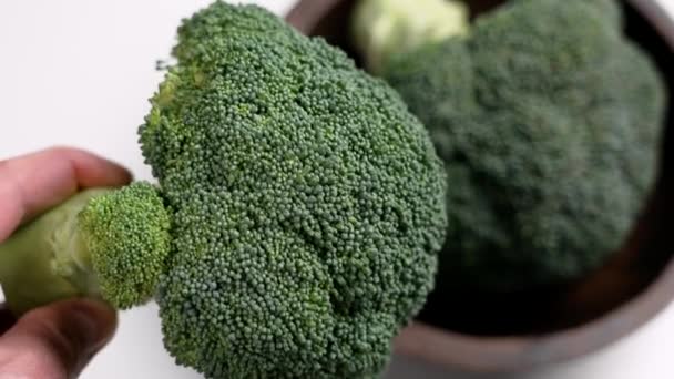 Broccoli Tutta Testa Fresca Mano Chef Vicino Pianta Vegetale Fibrosa — Video Stock