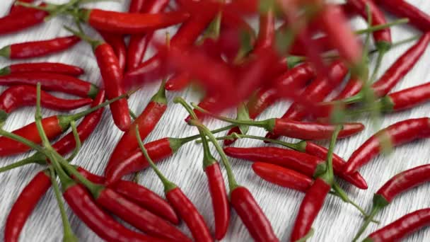 Mnoho Čerstvých Horké Červené Chilli Papričky Padající Bílou Keramickou Desku — Stock video