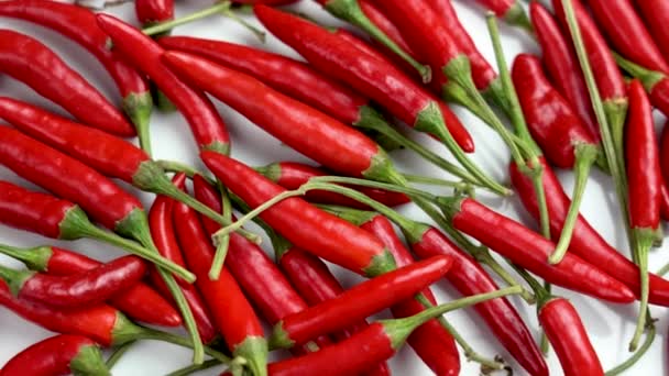 Mnoho Čerstvých Červené Chilli Papričky Bílém Keramickém Povrchu Zblízka Silný — Stock video