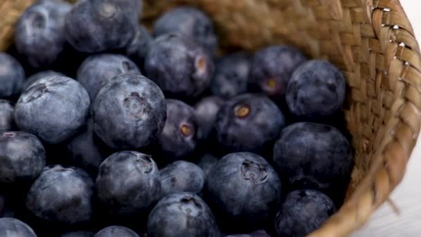 提供新鲜蓝莓 美味的有机蓝莓近身 天然抗氧化剂来源 — 图库视频影像