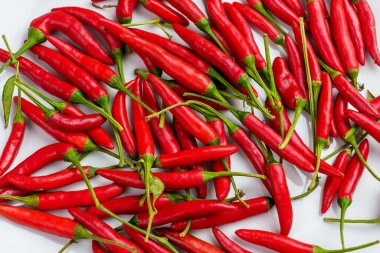 Beyaz seramik bir yüzey üzerinde bir sürü taze kırmızı biber yakın mesafede. Sert kırmızı biber. Üst görünüm