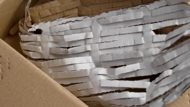 Karton Kutu Paket Koruması Için Kesilmiş Kağıtlarla Dolu Döndürme — Stok video