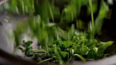 Taze doğranmış yeşil maydanoz yaprakları ahşap bir kaseye düşüyor. Aromatik bitkisel baharat. Petroselinum crispum. Yavaş çekim