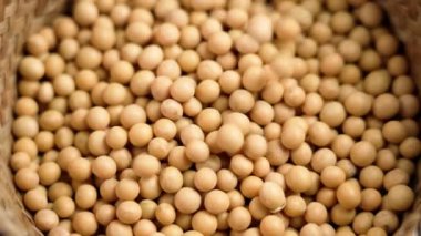 Organik soya fasulyesi kırsal bir hasır kaseye düşüyor. Çiğ kurutulmuş soya taneleri. Sağlıklı baklagil bileşeni. Ağır çekim. Döndürme