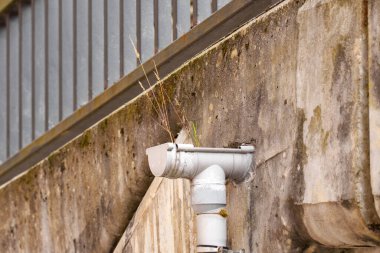 Beton bir duvardan çıkan, çimenlerle kaplanmış ve bakıma muhtaç plastik bir drenaj borusunun tıkanmış oluğu.