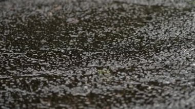 Hafif yaz akşamı yağmuru küçük damlalar düşüyor ve şehir yoluna sıçrıyor.