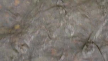 Hızla akan bir dağ nehrinin su yüzeyine yukarıdan yakından bakın.