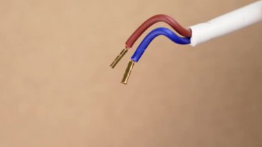 Üzerinde kırmızı ve mavi kablolar bulunan çift kablolu elektrik kablosu beyaz yalıtımda bir teknisyenin elinde.