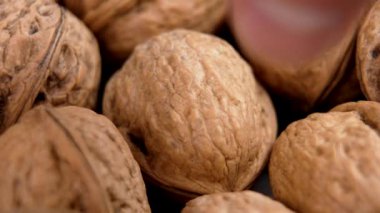 Şefin eli ceviz kabuğunun içinde organik ceviz yapıyor. Sürdürülebilir diyet malzemeleri