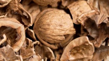 Öğle yemeğinden sonra organik fındık kabuğu kabuğundan arta kalan ceviz kabukları. Döndürme