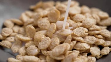 Bitki bazlı süt gri bir kaseye dökülüyor besleyici kahvaltılık gevrek gevrekleri yavaş çekimde gevrek. Sağlıklı gıda malzemeleri pişiriyorum.