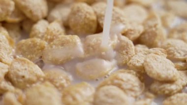 Gevrekler Sağlıklı Besleyici Glutensiz Quinoa Gevrekleri Bitki Temelli Süt Dökümlü