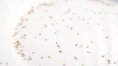 Susam tohumları beyaz bir seramik plaka yüzeyine yavaşça dökülüyor. Sağlıklı doğal yiyecek.