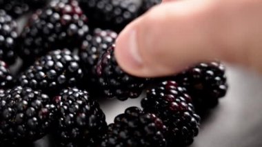 Bir kasede olgun böğürtlenler ve sulu bir böğürtlen böğürtlenini gri tabaktan alan gurme bir el. Makro çekim