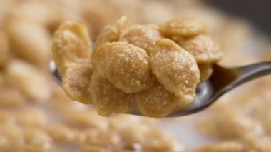 Kaşık içinde sebze sütü olan gevrek gevrekleri. Organik malzemelerle taze, sağlıklı bir kahvaltı.