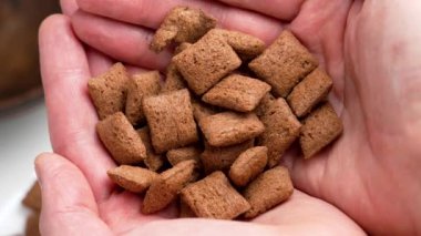 Bir avuç dolusu gevrek çikolata aromalı gevrek, kahverengi desenli ve lezzetli ve uygun bir atıştırmalık için hazır.