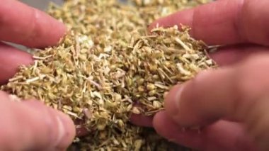 Şifalı bitkilerde kullanılan geleneksel bir şifalı bitki olan kurutulmuş kiriş bitkisini (Achillea millefolium) karıştıran eller. Ağır çekim. Kapat.