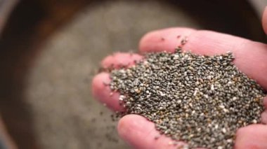 Bir elden dökülen kurutulmuş chia tohumları, ince dokularını ve doğal kalitelerini gözler önüne seriyor. Meyve suyu, sağlıklı tarifler ve besin alımını arttırmak için ideal. Yavaş çekim