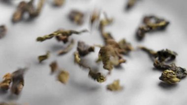 Kıvrılmış kurumuş barut yeşil çay yaprakları yavaş çekimde düşüyor. Sağlıklı bir içecek.