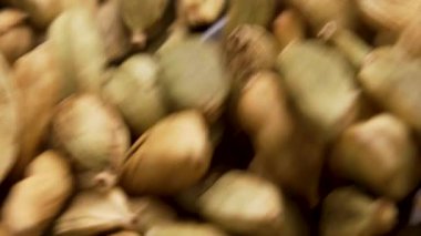 Kaşık kepçesiyle kurutulmuş kakule kapsülleri. Aromatik organik Hint baharatı. Sağlıklı aroma bileşeni. Makro çekim