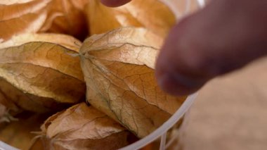 El, Physalis meyvesi veya vişneyi tahta masadaki plastik sepetten alır. Makro çekim