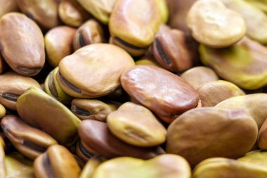 Kurutulmuş fasulye yığını mı yoksa Vicia Faba mı? Pişmemiş ham bakla malzemesi