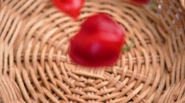 Capsicum chinense kırmızı biber ya da hasır bir rattan kaseye düşen kırmızı keskin habanero. Üst Manzara. Yavaş çekim