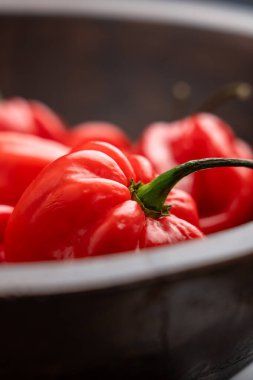 Capsicum chinense kırmızı biber ya da ahşap kasede kırmızı habanero. Makro