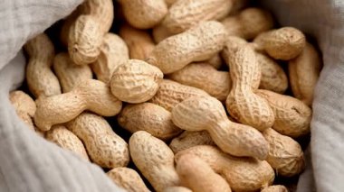 Mutfak peçetesinde kabuksuz kavrulmuş fıstık. Besleyici organik fındık. Döndürme