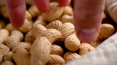 Bir avuç soyulmamış fıstığı yakın plan çekiyoruz.