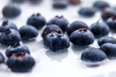 Suda taze yaban mersini. Kapatın. Sulu yaz meyvelerini yıkıyorum.