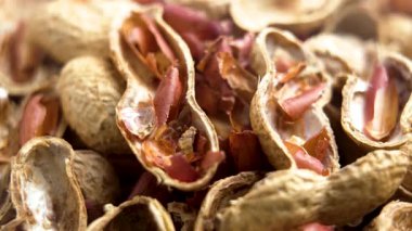 Geri dönüşüm için atık olarak yenmiş fıstık kabukları. Makro atış. Döndürme