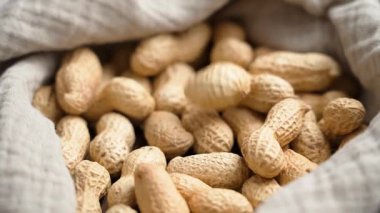 Kabuksuz organik fıstıklar yavaş çekimde kumaşın üzerine düşüyor.