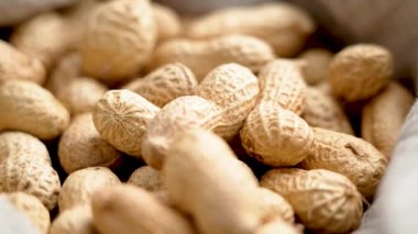 Kumaş peçetede kabuksuz kavrulmuş fıstık. Makro. Döndürme