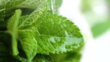 Taze kokulu yeşil nane yaprakları dökülen temiz suyun altında yavaş yavaş sıçrıyor. Makro atış. Üst görünüm