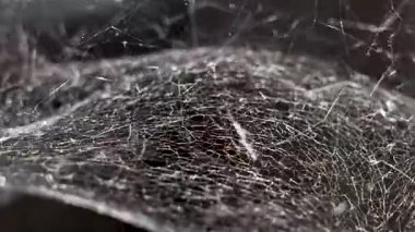 Eski tozlu örümcek ağıyla kaplı grunge dokusu rüzgarda sallanıyor. Makro çekim
