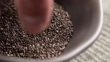 Gri kasede ve elinde Chia besleyici tohumlardan bir tutam alıyor. Makro çekim